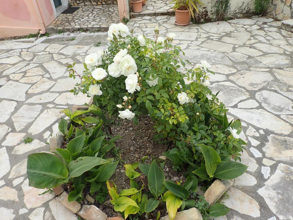 Summer Cottage Sinarades ภายนอก รูปภาพ